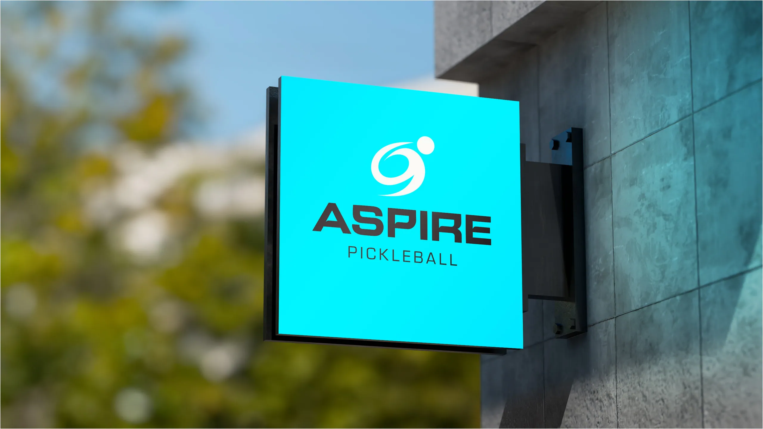 Aspire Pickleball brand identity 4